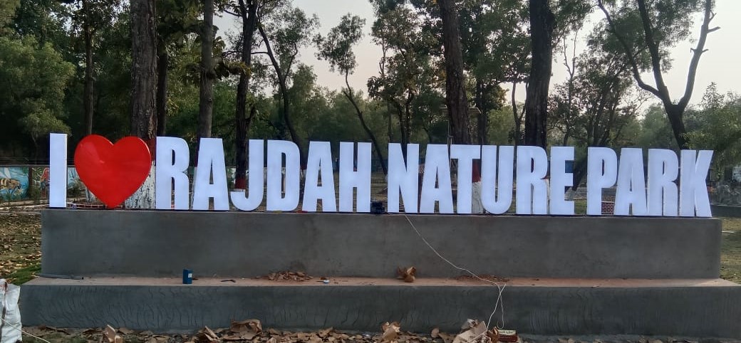 Environmental Cleanup Day